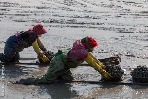 worker with mud flat  © 상만 배