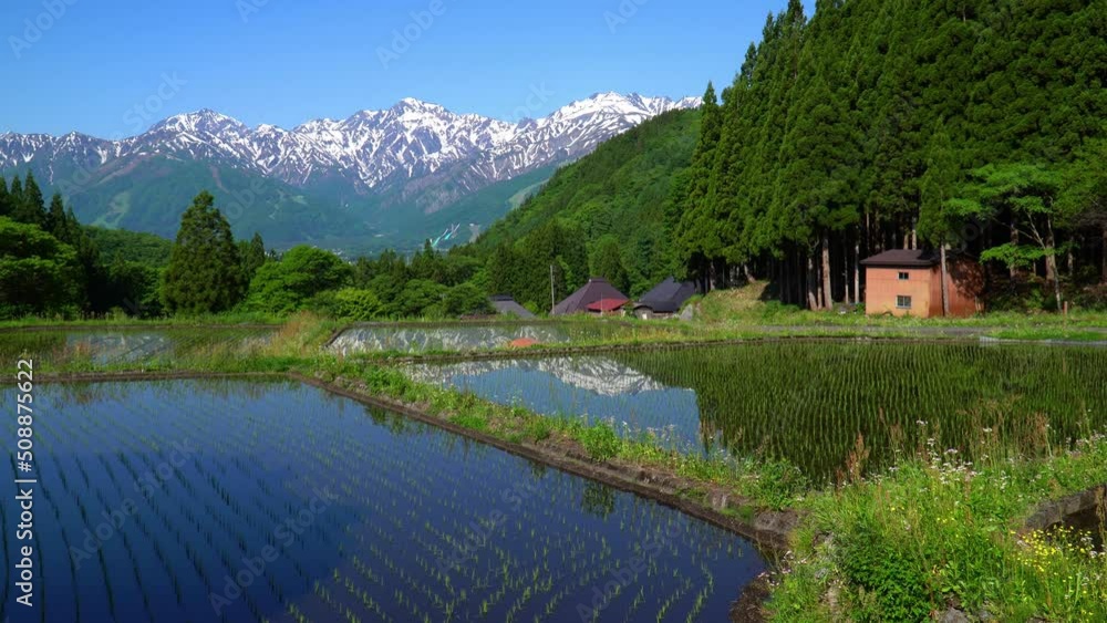 初夏の白馬村青鬼集落　北アルプスと田園風景