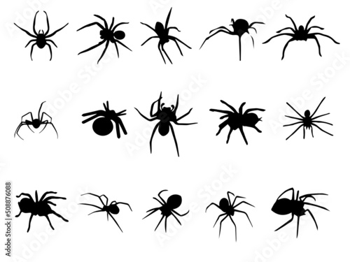 Black Spider Vector. Spider Image Free Vectors. Spider Royalty Free Vector Image. Spider Vector Insect Animal Stock Vector