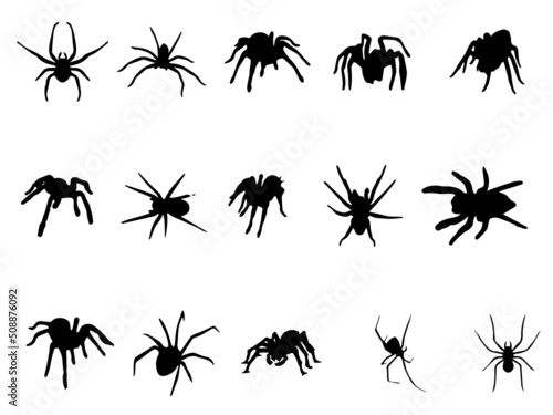 Spider Vector Insect Animal Stock Vector. Black Spider Vector. Spider Royalty Free Vector Image © Rabbi