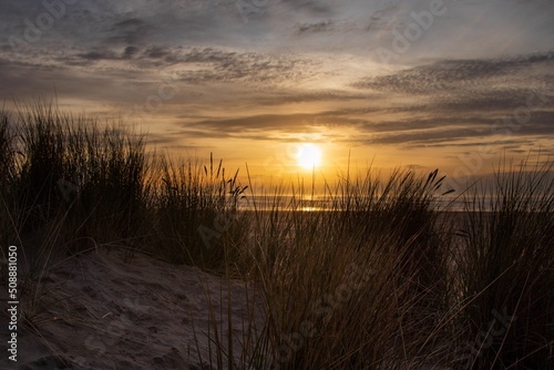 Fototapeta Naklejka Na Ścianę i Meble -  Sunset at Agate beach