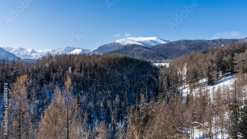 The mountain slopes are densely forested. Snow-capped peaks against the blue sky. Altai in winter
