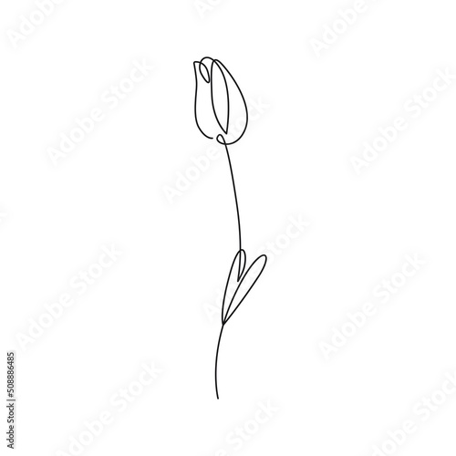 Continuous Line Drawing Of Plant Black Sketch of Flower Tulip Isolated on White Background. Flower One Line Illustration. Minimalist Botanical Art Design. Vector EPS 10.