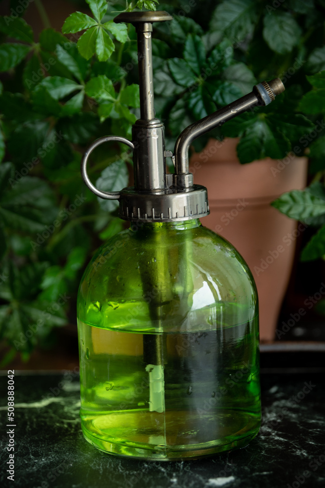 watering spray watering spray