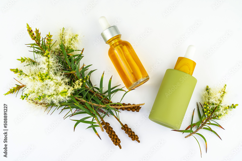 Fototapeta premium Two cosmetic bottles with oil and fresh tea tree branch on a white background. Tea tree oil (Melaleuca alternifolia)