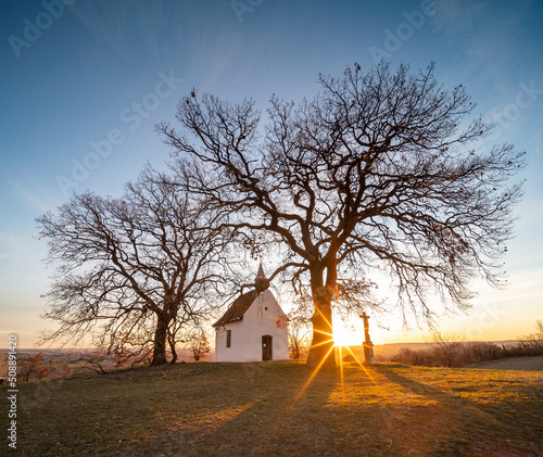 Small chapel with huge tree photo