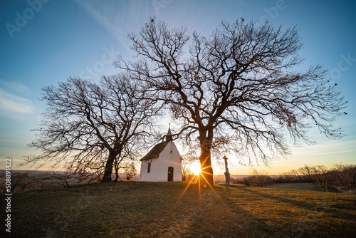 Print op canvas Small chapel with huge tree