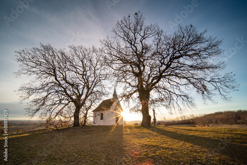 Small chapel with huge tree photo