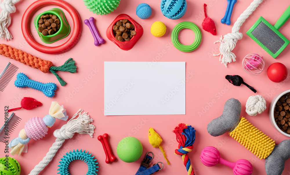 Fototapeta premium Pet care concept, various pet accessories and tools on pink background with blank paper, flat lay