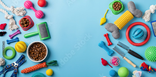 Pet care concept, various pet accessories on blue background, flat lay