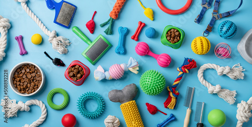 Cuadro en lienzo Pet care concept, various pet accessories and tools on blue background, flat lay