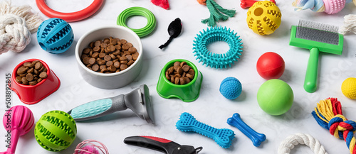 Pet care concept, various pet accessories and tools on white marble background, high angle photo