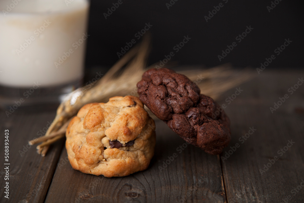 Homemade Chocolate Chip Cookies, front view Homemade Chocolate Chip Cookies, front view