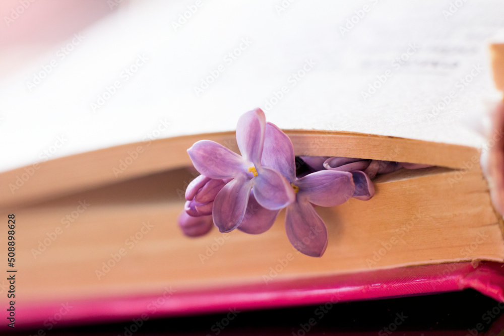 Fototapeta premium Beautiful fragrant lilac, spring flowers and book