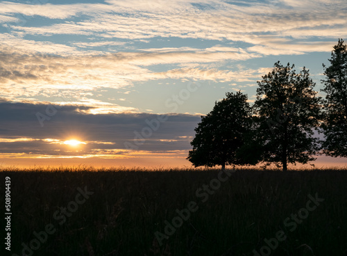Fototapeta Naklejka Na Ścianę i Meble -  sunset with blue sky scattered cloud and foreground trees