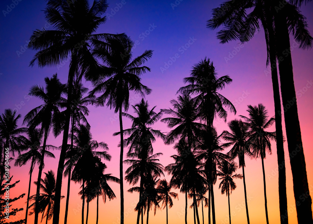 Tropical sunset with silhouette palm trees at dusk background