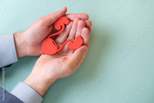 heart in hands photo