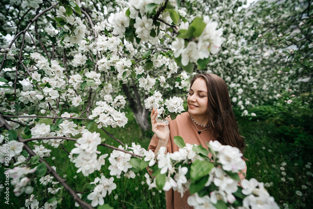 beautiful young girl in the garden of blooming apple trees beautiful young girl in the garden of blooming apple trees