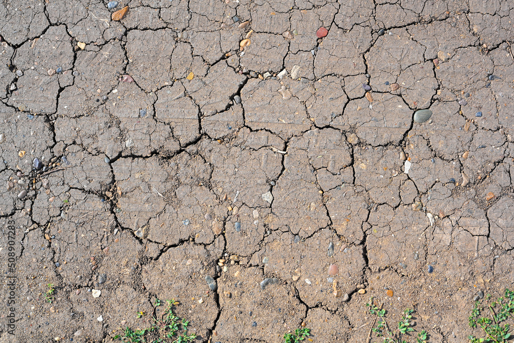 Fototapeta premium Dry mud cracked ground texture. Drought season background. Dry and cracked land, dry due to lack of rain. Effects of climate change.