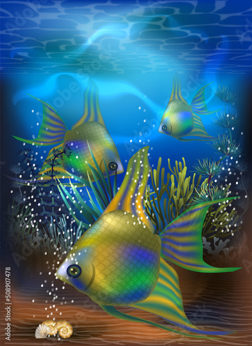 Underwater tropical card with Emerald Angelfish, vector illustration