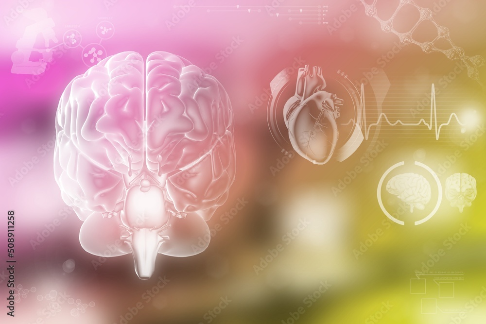 Medical 3D illustration - human brain, neuron network work concept - detailed hi-tech background or texture Medical 3D illustration - human brain, neuron network work concept - detailed hi-tech background or texture