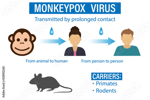 The concept of an outbreak of smallpox monkeys.  A banner with the monkey pox virus to inform and warn about the spread of the disease.