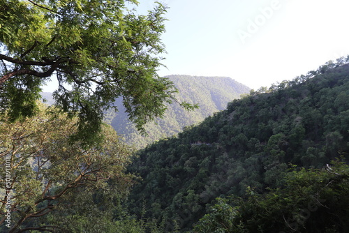 Kodaikanal Landscape