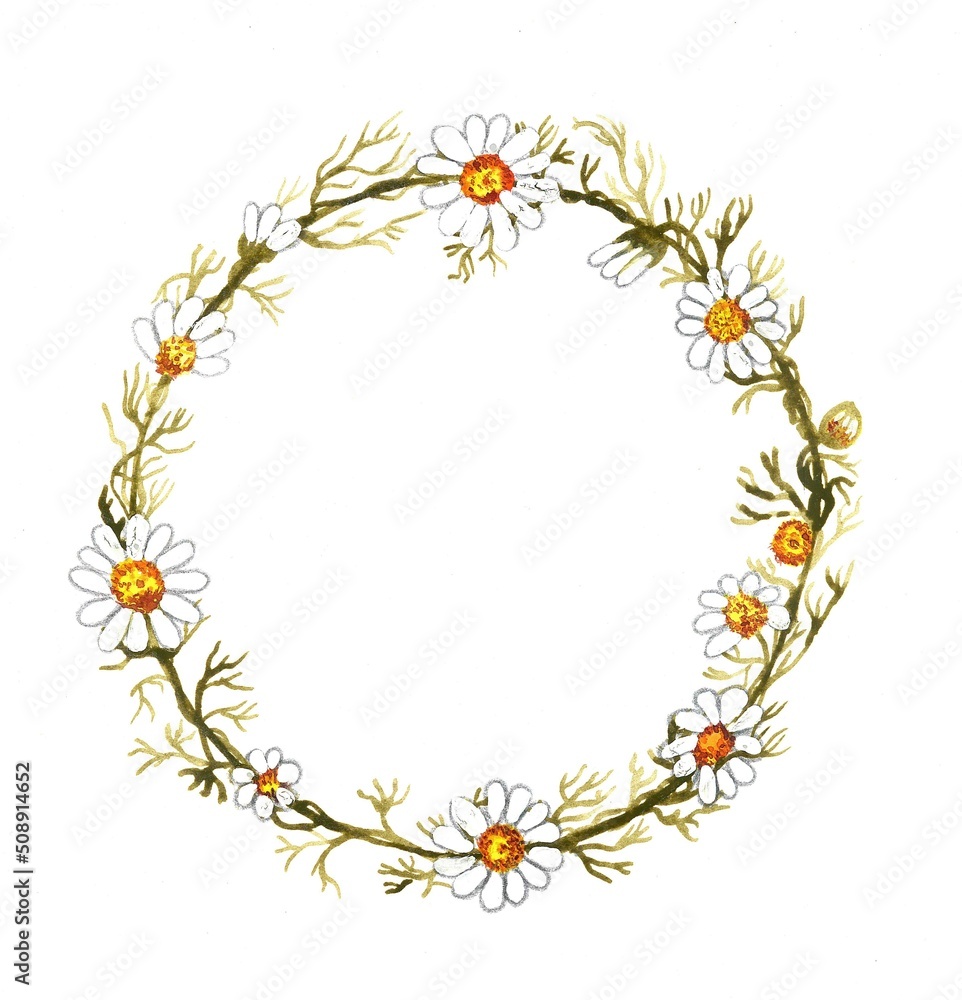 watercolor botanical frame with white daisies.Botanical illustration.Blooming plants.Floral wreath.Round frame.Garland of flowers.Hand-drawn greeting card for weddings, invitations, spring design. watercolor botanical frame with white daisies.Botanical illustration.Blooming plants.Floral wreath.Round frame.Garland of flowers.Hand-drawn greeting card for weddings, invitations, spring design.