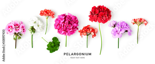 Schilderij op canvas Geranium flowers collection