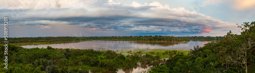 Amazonia