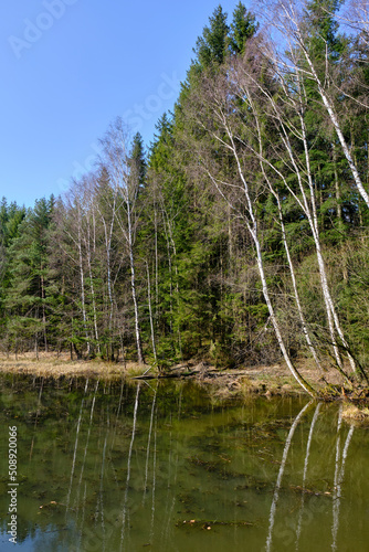 Baunachsee im Baunachtal des Sulzfelder Forstes im Naturpark Haßberge zwischen Sulzfeld und Bundorf, Unterfranken, Franken, Bayern, Deutschland photo