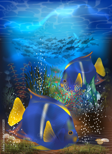 Underwater tropical invitation card with Blue Tang fish, vector illustration