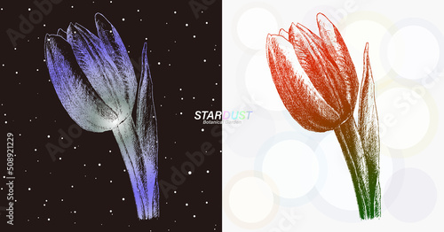 宇宙の銀河のような線で描画されたチューリップ