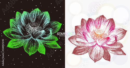 宇宙の銀河のような線で描画された蓮の花