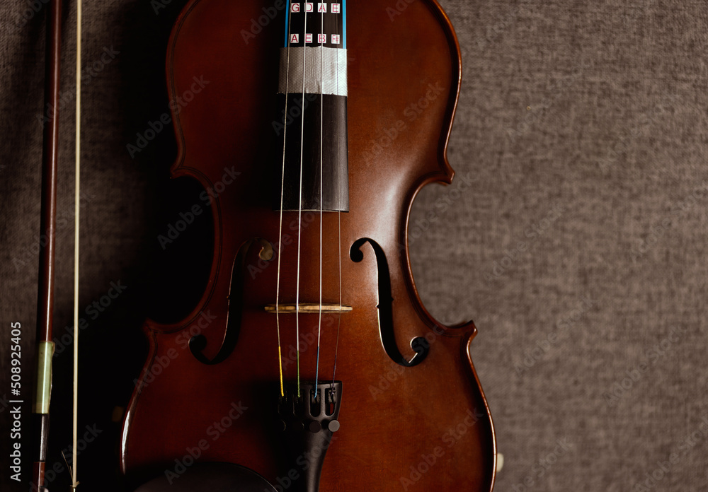 Violin vintage musical instrument of orchestra taken with natural light