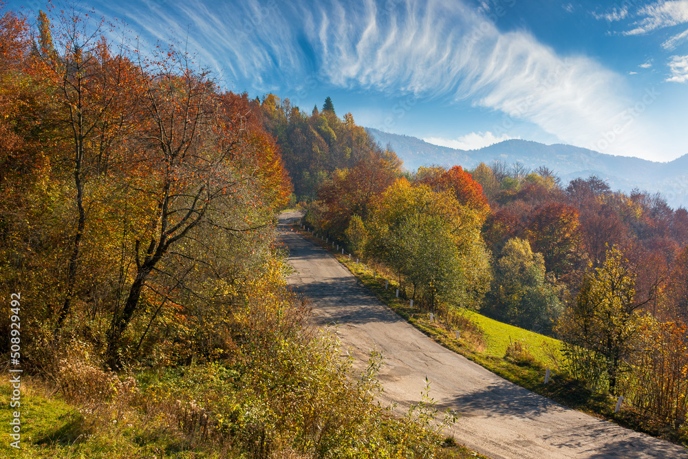 old mountain road in morning light. trees in colorful foliage along the serpentine. explore countryside concept