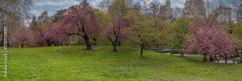 Central Park in spring photo