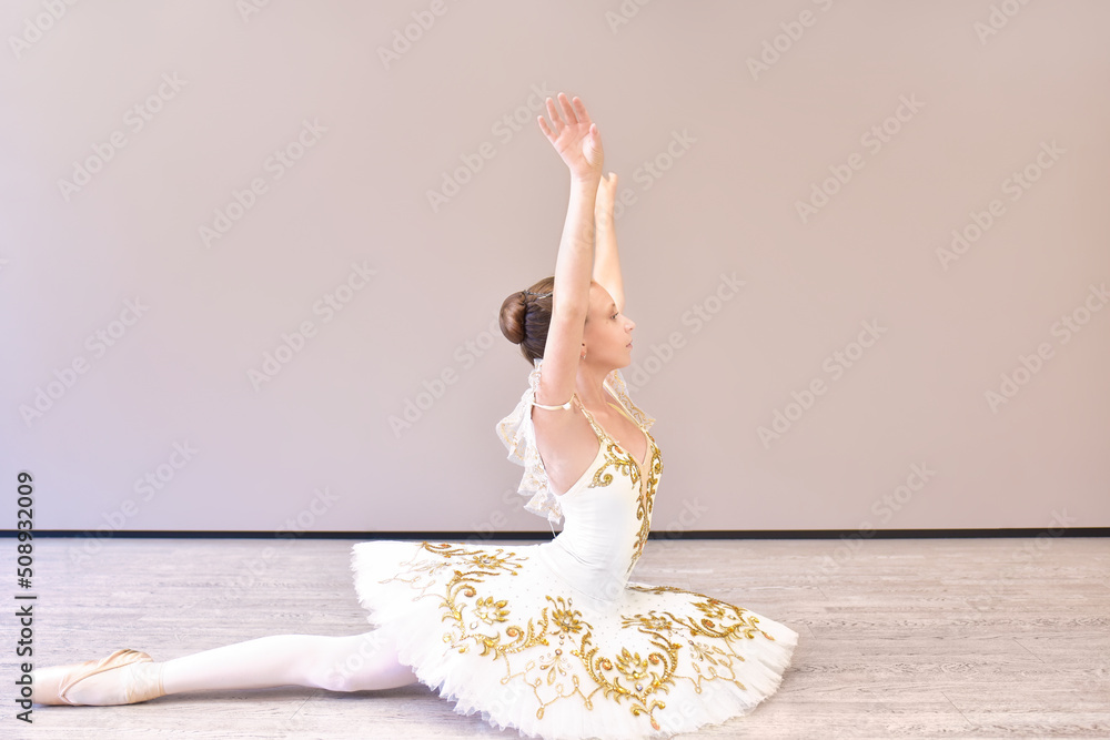 Fototapeta premium attractive young ballet dancer acting out. beautiful ballerina sitting forward split