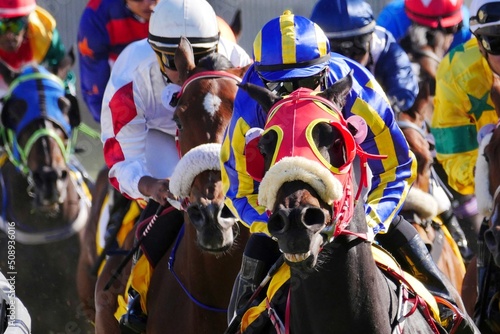 Fotografie, Tablou Close up of horses racing in full action