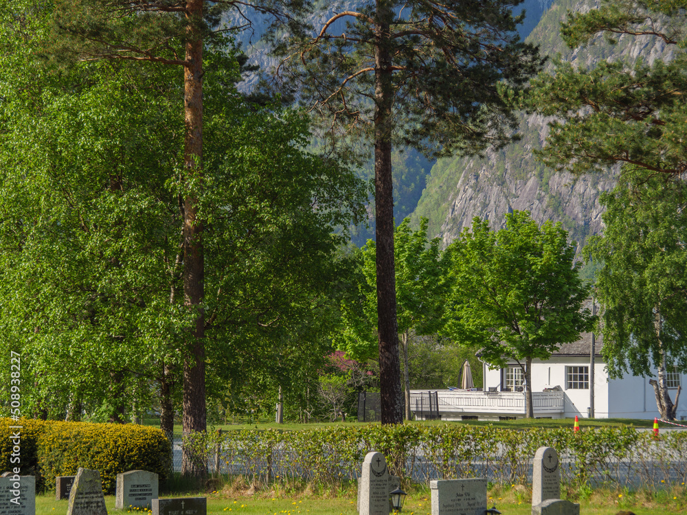Naklejka premium Eidfjörd in norwegen