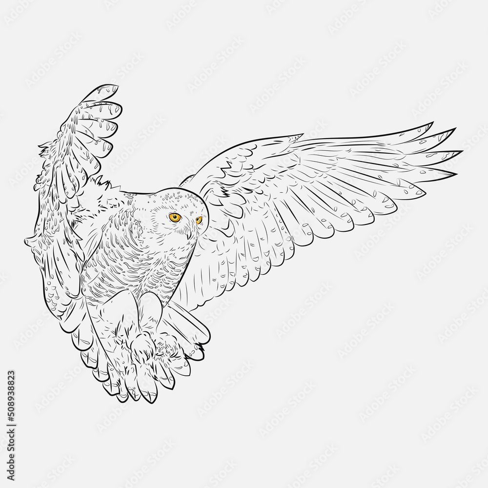 Fototapeta premium Snowy owl in lines, black, with yellow eyes