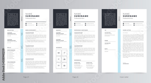 Professional Resume/CV and Cover Letter Template