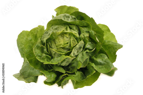 Obraz na plátně Salade laitue bio en gros plan sur fond blanc