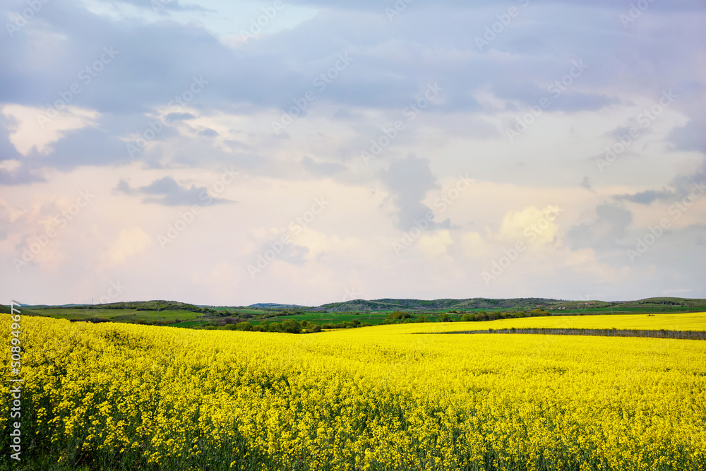 Meadows with a plant in a valley with fields against the background of the daytime sky in Bulgaria