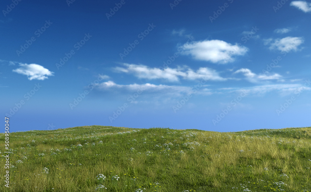 Rolling landscape with grassland and daisies under a blue cloudy sky. 3D render. Rolling landscape with grassland and daisies under a blue cloudy sky. 3D render.