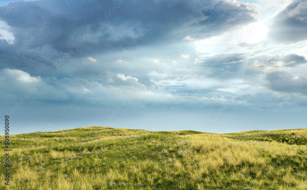 Rolling landscape with grassland and daisies under a cloudy sky. 3D render. Rolling landscape with grassland and daisies under a cloudy sky. 3D render.