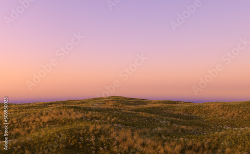 Hills with grassland and daisies at sunset. 3D render.