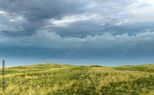 Rolling landscape with grassland and daisies under a cloudy sky. 3D render.