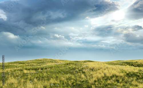 Rolling landscape with grassland and daisies under a cloudy sky. 3D render.
