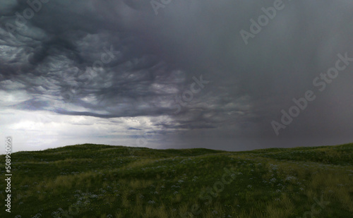 Rolling landscape with grassland and daisies under a dark cloudy sky. 3D render.
